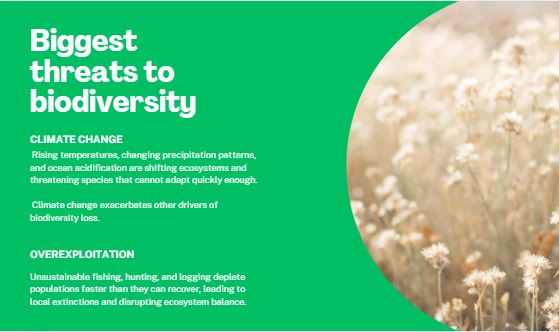 Biodiversity Loss: Why It Matters More Than You Think